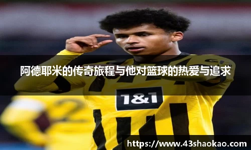 阿德耶米的传奇旅程与他对篮球的热爱与追求